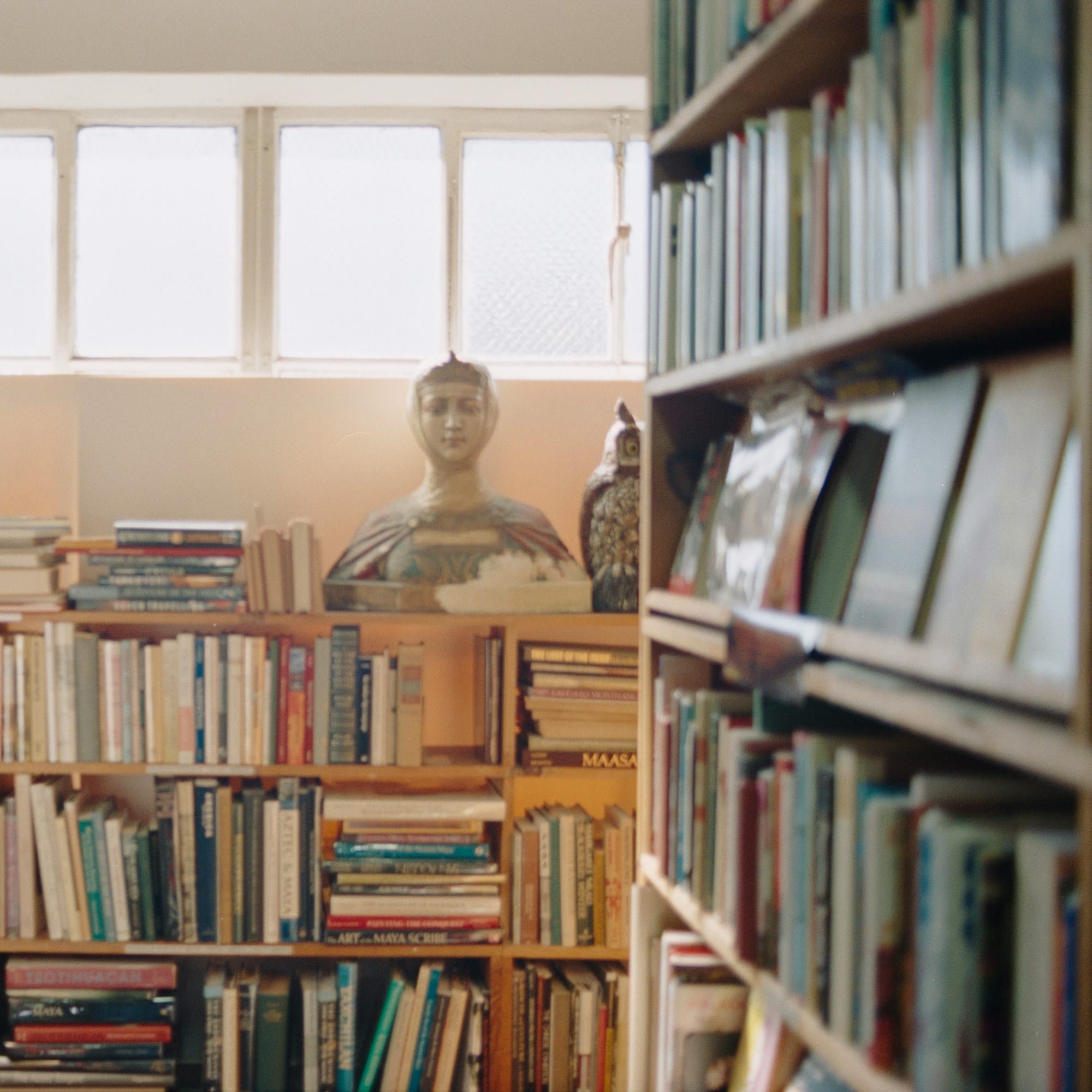Library shelves for IB tutoring centre article